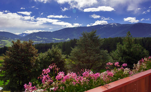 Imagen de la habitación del Appartement- Und Wellnesshotel Winkler. Foto 3