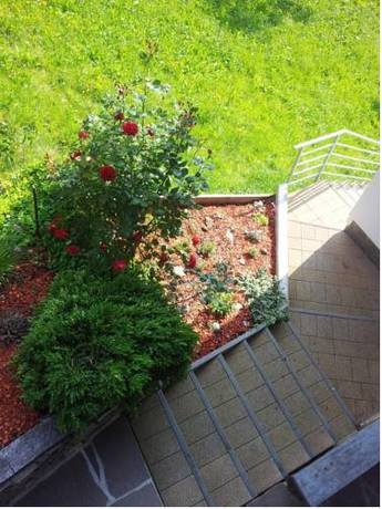 Imagen general del Appartements Alpenblick. Foto 6