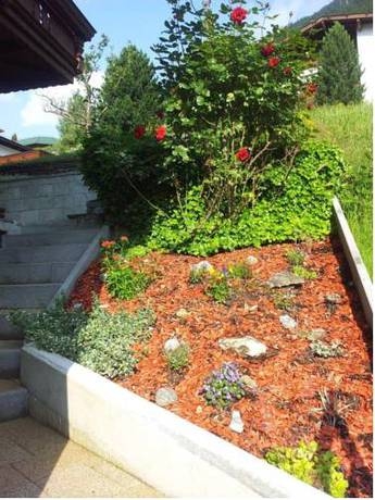 Imagen general del Appartements Alpenblick. Foto 7