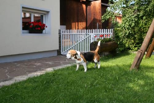 Imagen general del Appartements Aufwind. Foto 5