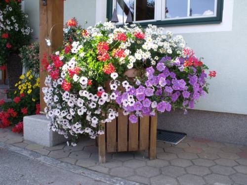 Imagen general del Appartements Bacherhof. Foto 6