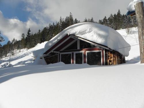 Imagen general del Appartements Hochegg. Foto 7