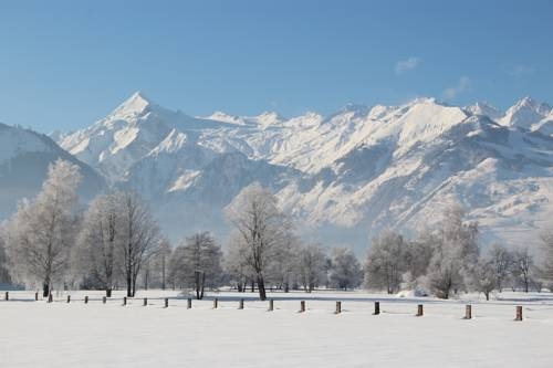 Imagen general del Appartements Julia. Foto 4