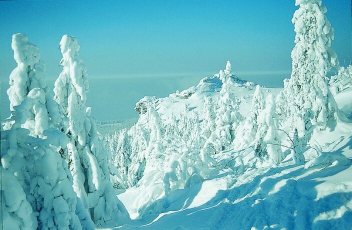 Imagen general del Appartements Pension Hammerschmied. Foto 8