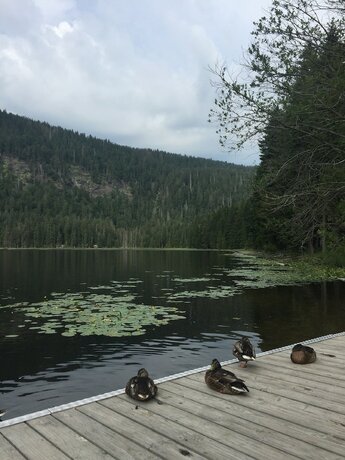 Imagen general del Appartements Pension Hammerschmied. Foto 14