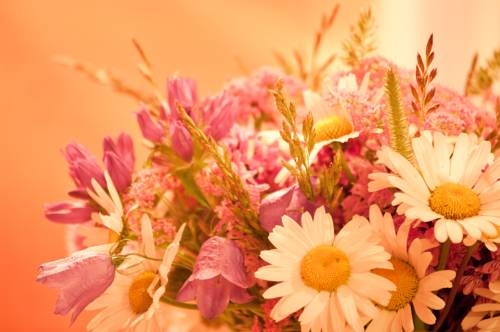 Imagen general del Appartements Rendl. Foto 31