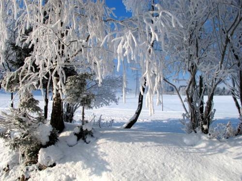 Imagen general del Appartements Zur Kapelle. Foto 9