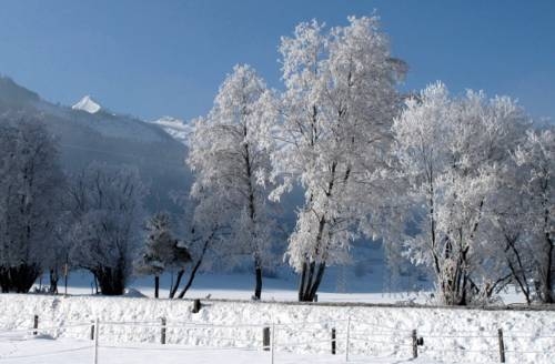 Imagen general del Appartements Zur Kapelle. Foto 13