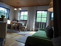 Imagen general del Appartment Sattlerhof. Foto 14