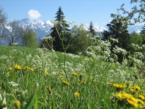 Imagen general del Appartment Sattlerhof. Foto 31