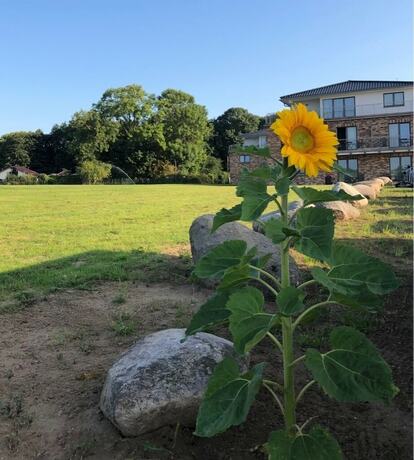 Imagen general del Appartments an der Golfanlage. Foto 10