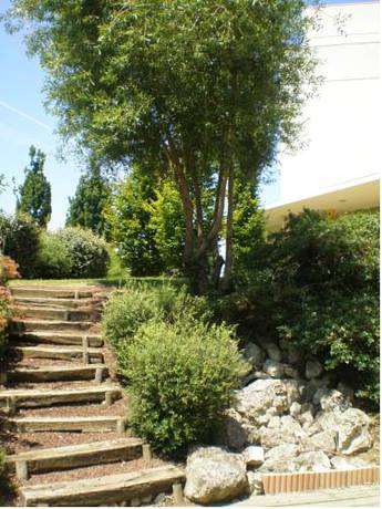 Imagen de la habitación del Apparts Meubl&eacute;s R&eacute;sidence Columba. Foto 15