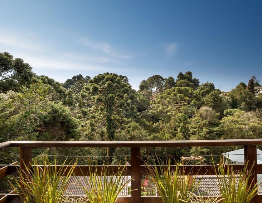 Imagen general del Apple House, Campos do Jordao. Foto 18