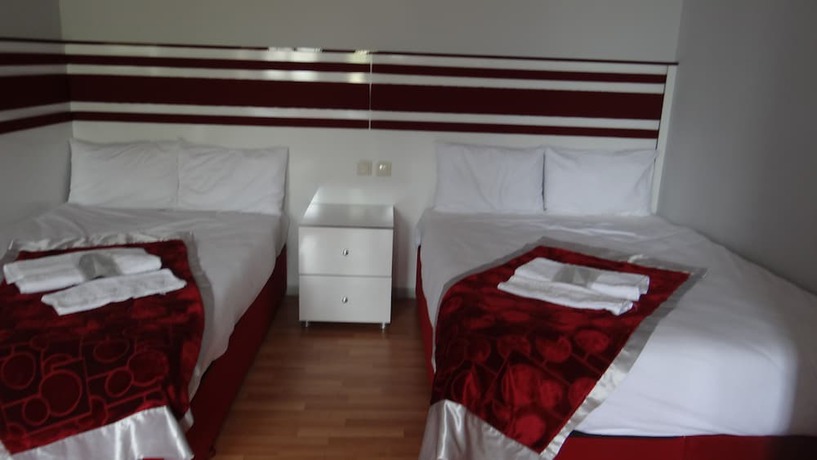Imagen de la habitación del Arakonak Termal Hotel. Foto 2