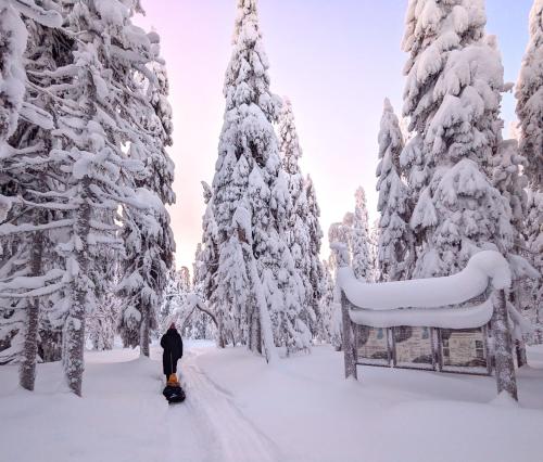 Imagen general del Arctic Nest. Foto 6