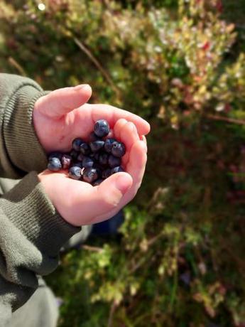 Imagen general del Arctic Nest. Foto 7