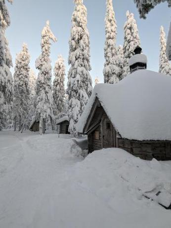 Imagen general del Arctic Nest. Foto 10