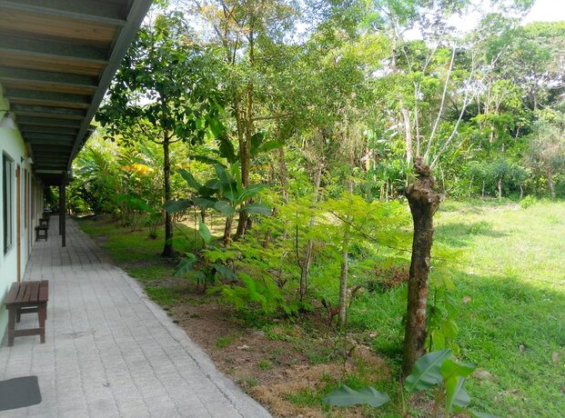 Imagen general del Arenal Xilopalo. Foto 12