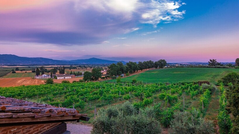 Imagen general del Ar-f628-mssa0at - Villa Pucci 12. Foto 13