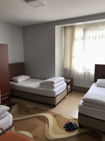 Imagen de la habitación del Ari Hotel, Yakutiye. Foto 4