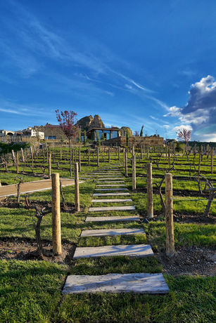 Imagen de los exteriores del Ariana Sustainable Luxury Lodge. Foto 9