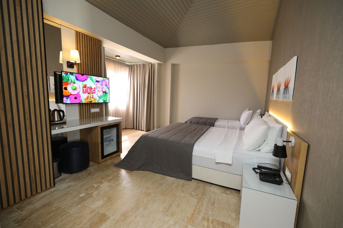 Imagen de la habitación del Ariel Hotel Ala&ccedil;atı. Foto 3