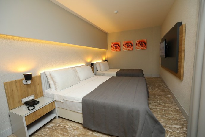 Imagen de la habitación del Ariel Hotel Ala&ccedil;atı. Foto 4