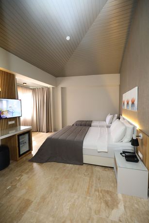 Imagen de la habitación del Ariel Hotel Ala&ccedil;atı. Foto 10