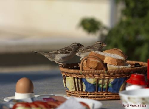 Imagen general del Arif Cave Hotel. Foto 11