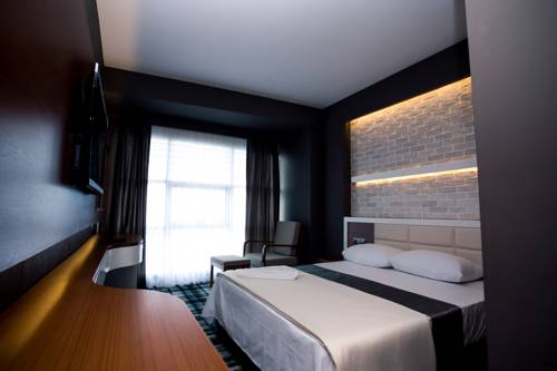 Imagen de la habitación del Aripsas Hotel, Giresun. Foto 3