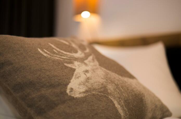 Imagen general del ArlbergResort Kl&ouml;sterle. Foto 21