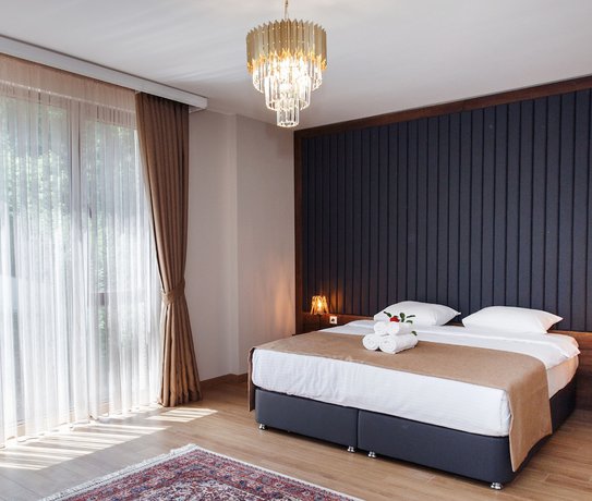 Imagen de la habitación del Armoni Deluxe Suite. Foto 12