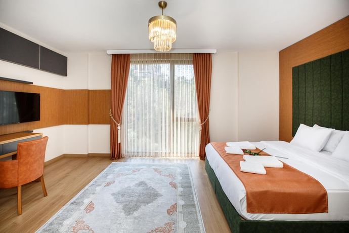 Imagen de la habitación del Armoni Deluxe Suite. Foto 15