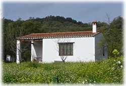 Imagen de los exteriores del Arroyo La Jara. Foto 2