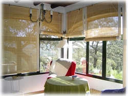 Imagen de los interiores del Arroyo La Jara. Foto 4