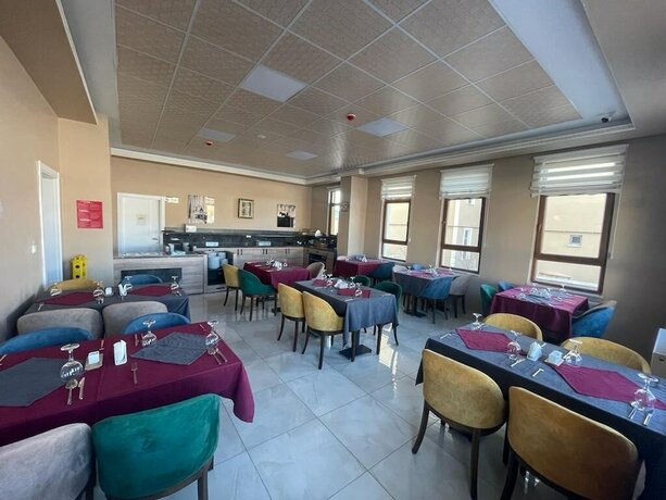 Imagen general del Arslan Otel Sarikamis. Foto 10