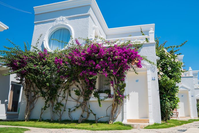 Imagen de los exteriores del Art Suites Hotel Bodrum. Foto 16