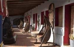 Imagen general del Arte Vida. Foto 4