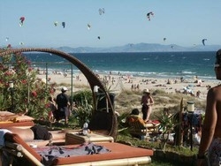 Imagen general del Arte Vida. Foto 7