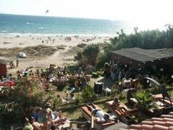 Imagen general del Arte Vida. Foto 11