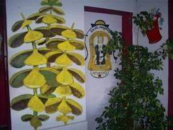 Imagen general del Arte Vida. Foto 12