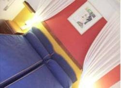 Imagen general del Arte Vida. Foto 15