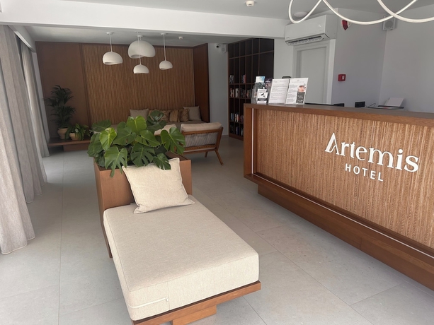 Imagen de los interiores del Artemis Hotel. Foto 16