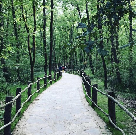 Imagen general del Arteria Family Residence and Suit Hotel. Foto 2