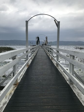 Imagen general del Arteria Family Residence and Suit Hotel. Foto 5