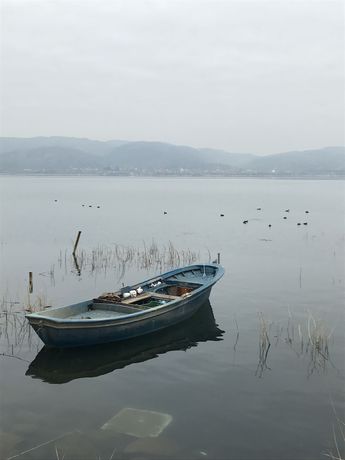 Imagen general del Arteria Family Residence and Suit Hotel. Foto 6