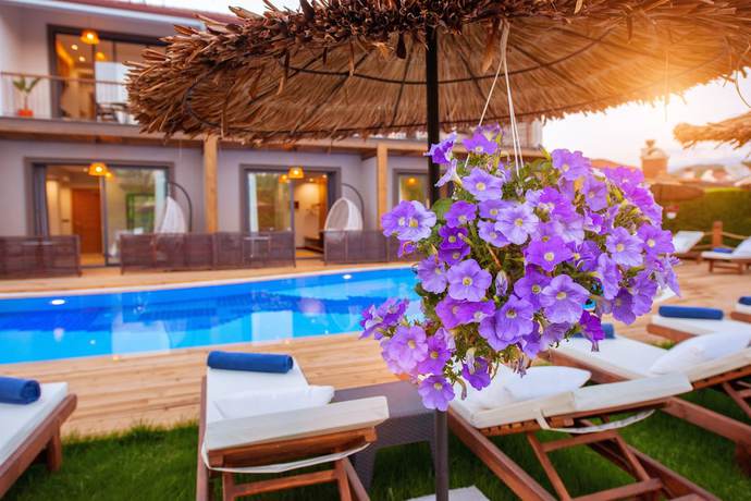 Imagen de los interiores del Arwen Hotel. Foto 19