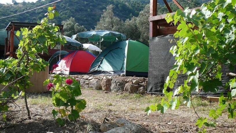 Imagen general del Asiyan Kamp. Foto 11
