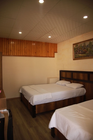 Imagen de la habitación del Aslan Konuk Evi. Foto 12