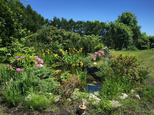 Imagen de la habitación del Aspinquid Resort. Foto 2